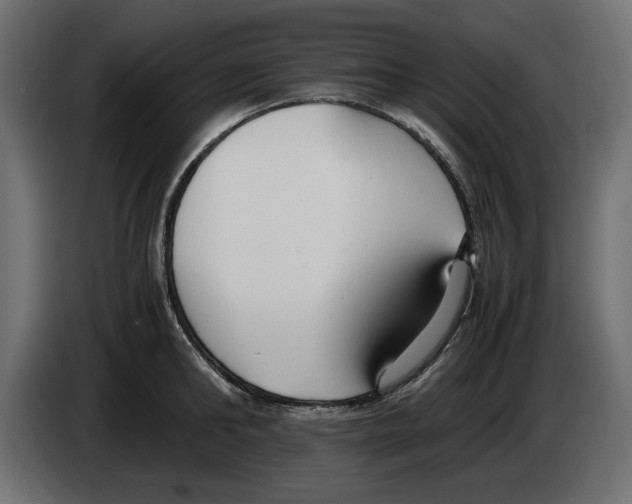 X0000083000902200703020902