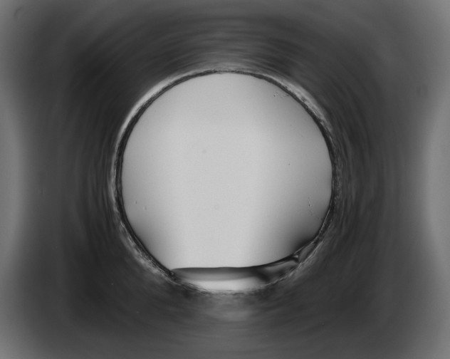 X0000083000904200703020902