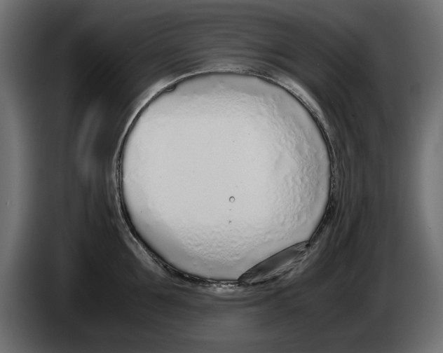 X0000083000907200703020902