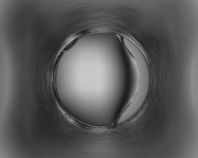 X0000083000909200703020902