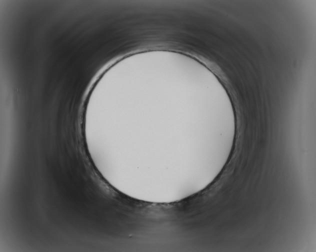 X0000083000912200703020902