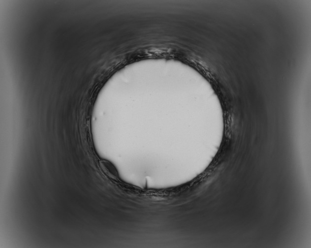 X0000083000913200703020901