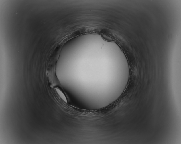 X0000083000914200703020901