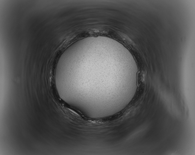 X0000083000915200703020901