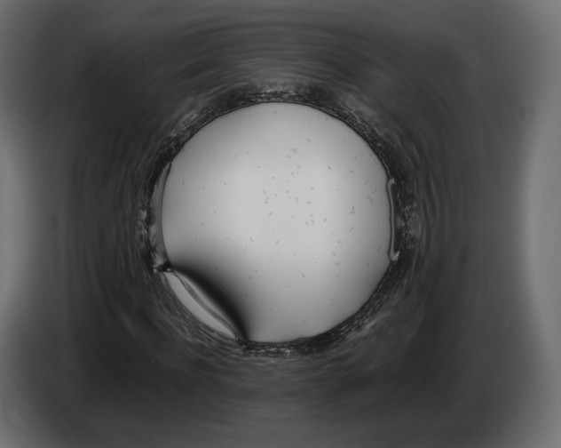 X0000083000916200703020901