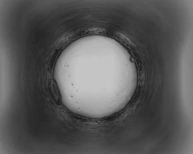 X0000083000917200703020901