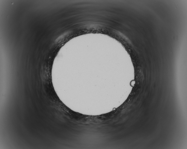 X0000083000918200703020901