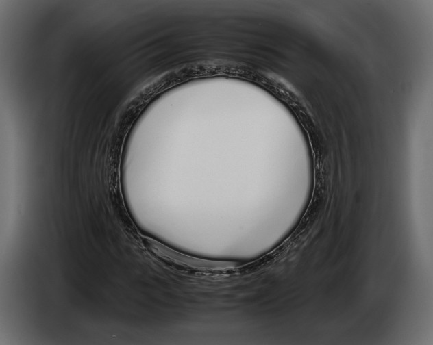 X0000083000919200703020901