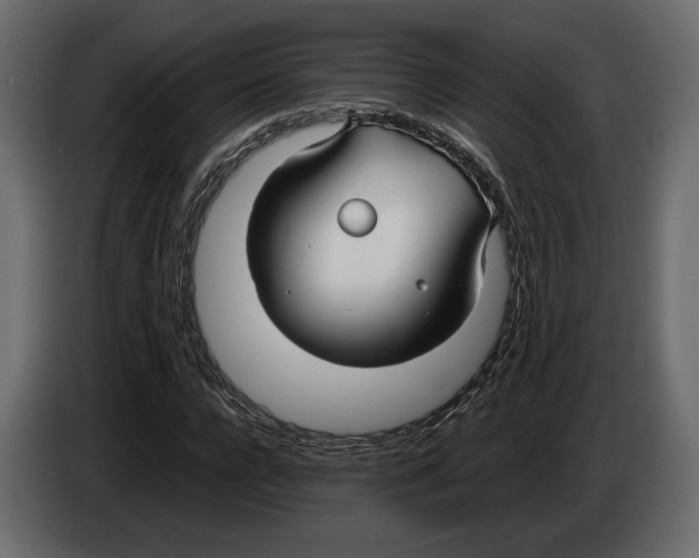 X0000083000920200703020901