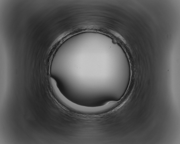 X0000083000922200703020901