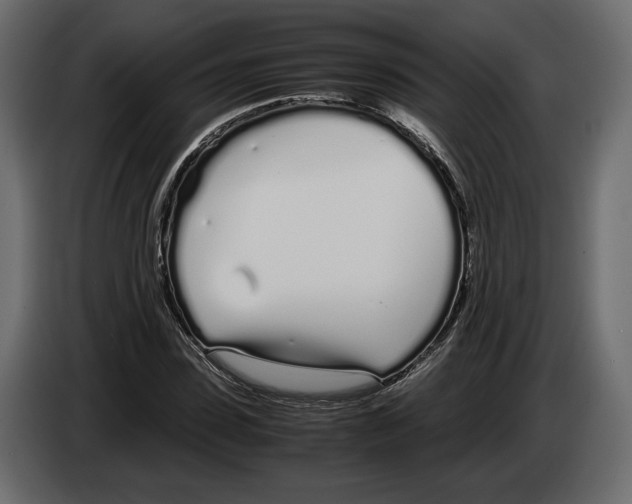 X0000083000923200703020901