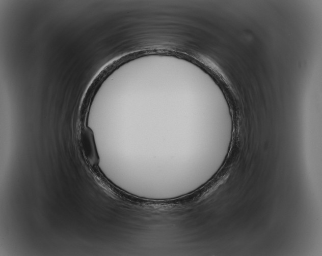 X0000083000924200703020901