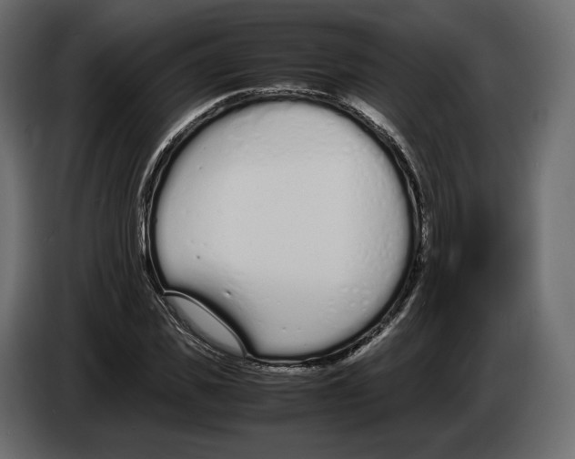 X0000083000925200703020901