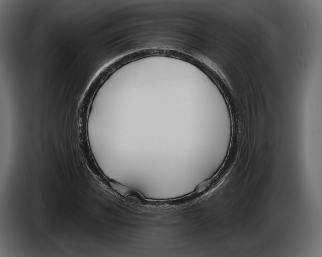 X0000083000926200703020901