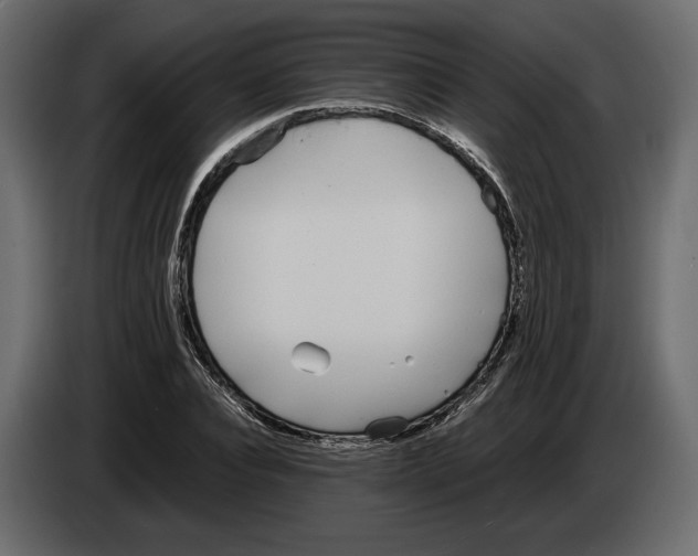 X0000083000928200703020901