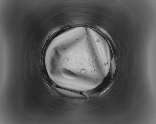 X0000083000930200703020901