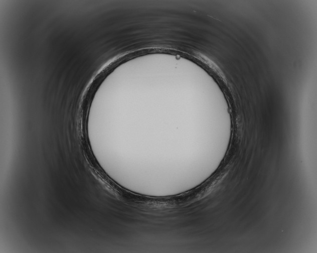 X0000083000931200703020901