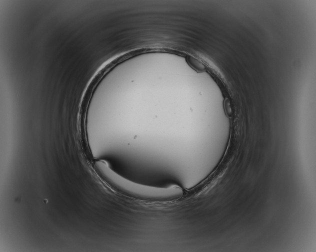 X0000083000932200703020901