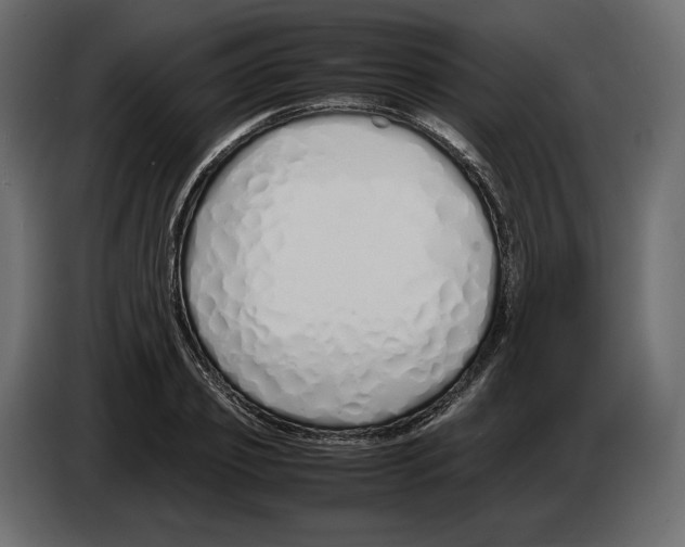 X0000083000933200703020901