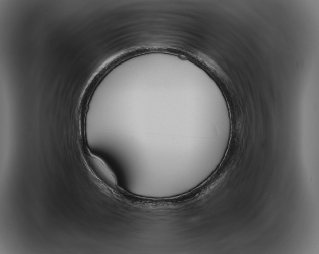 X0000083000934200703020901