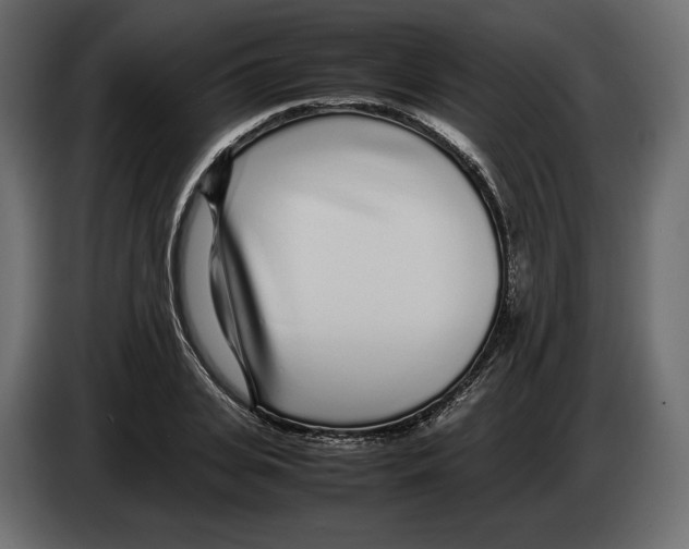 X0000083000935200703020901