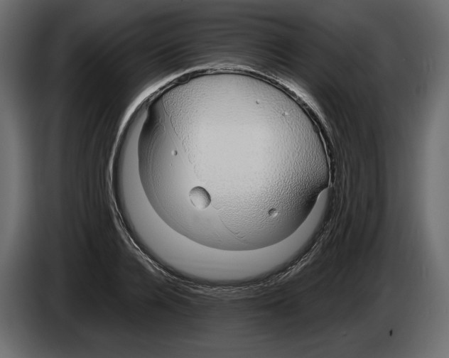 X0000083000936200703020901