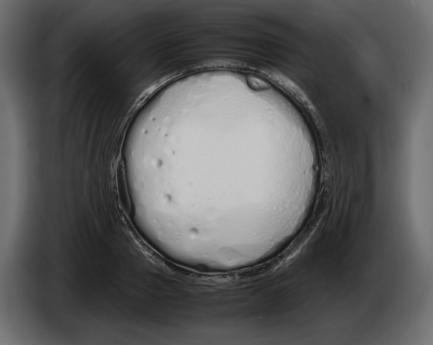 X0000083000937200703020901