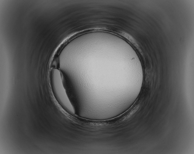 X0000083000939200703020901