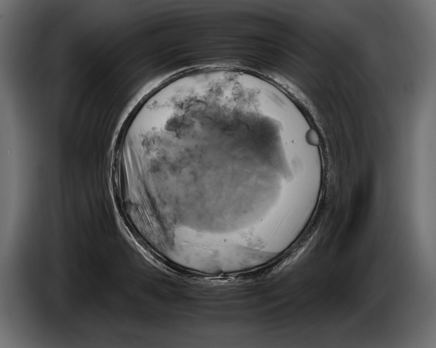 X0000083000941200703020902