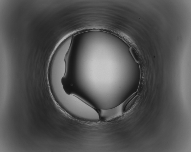 X0000083000942200703020902