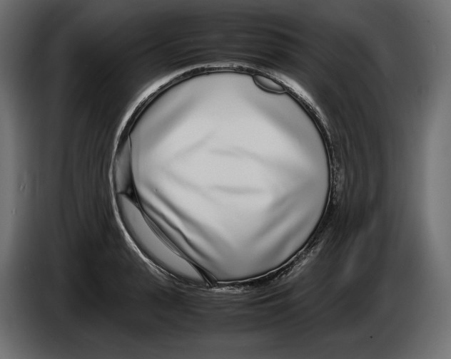 X0000083000943200703020902