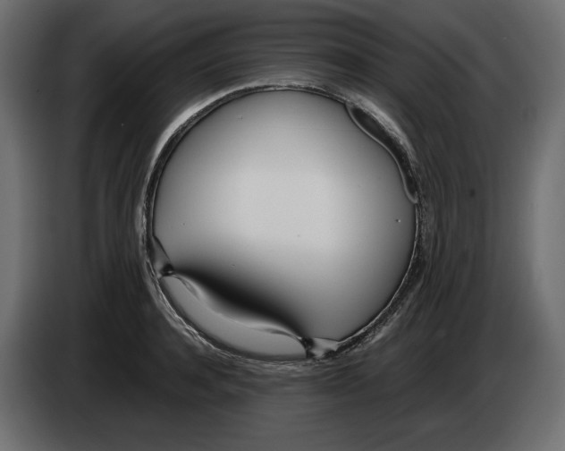 X0000083000944200703020902