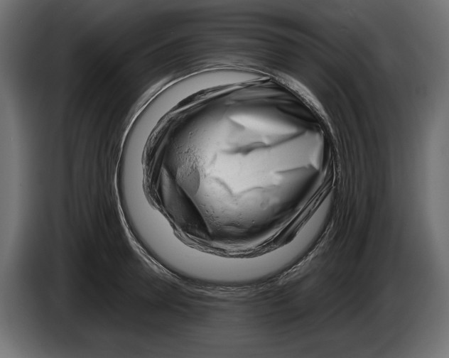 X0000083000946200703020902