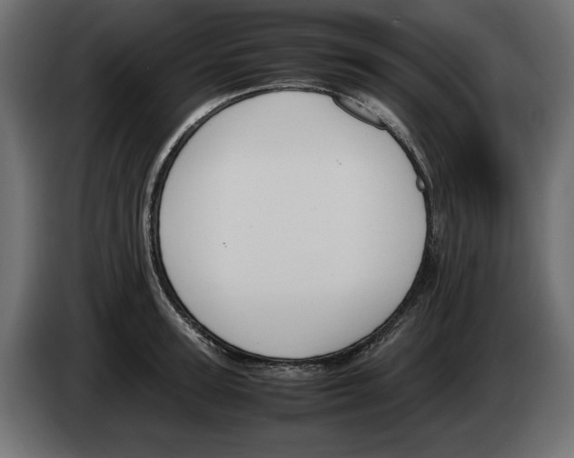 X0000083000947200703020902