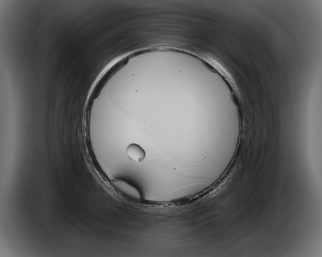 X0000083000948200703020902