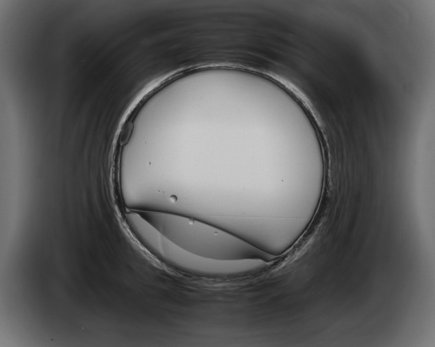 X0000083000949200703020902