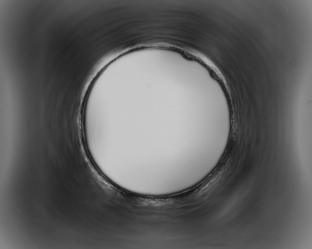 X0000083000951200703020902