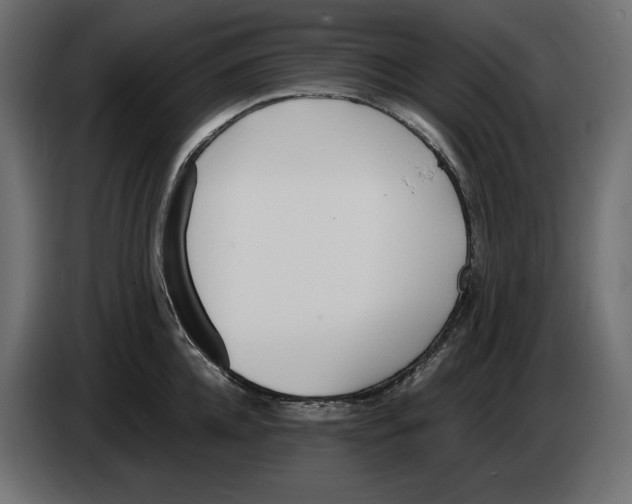 X0000083000952200703020902