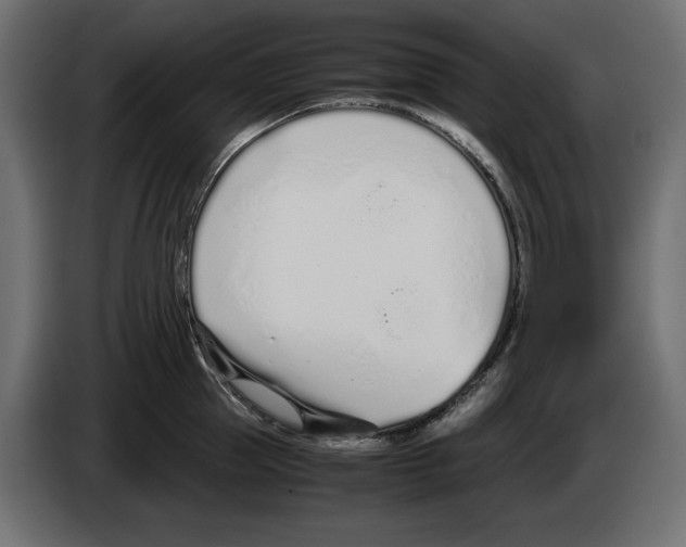 X0000083000953200703020902