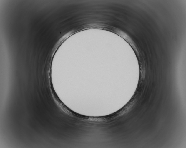 X0000083000954200703020902