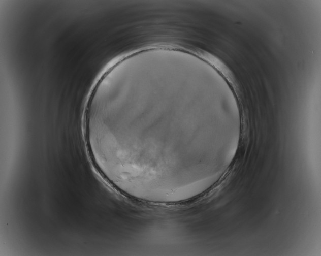 X0000083000958200703020902