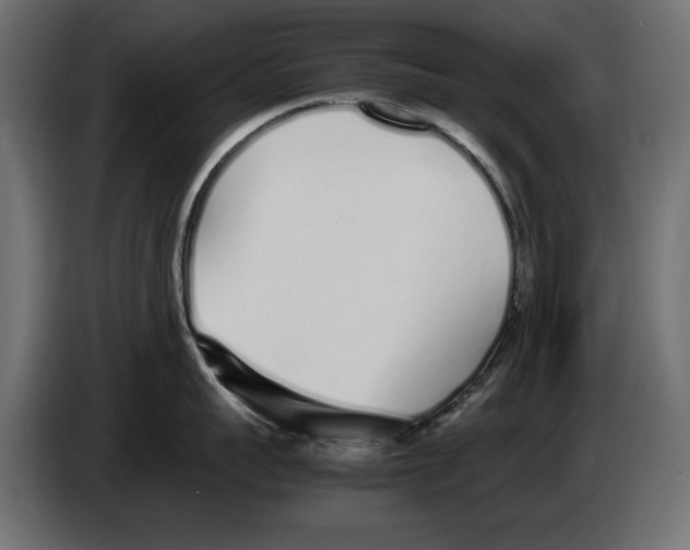 X0000083000959200703020902