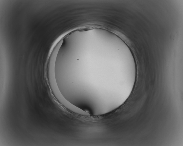 X0000083000960200703020902