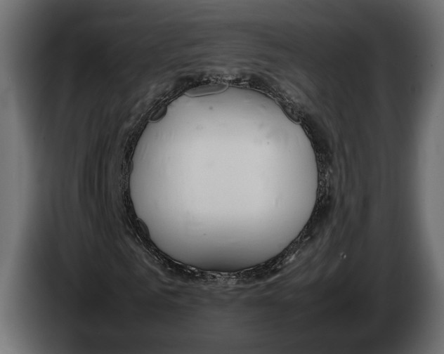 X0000083000961200703020901