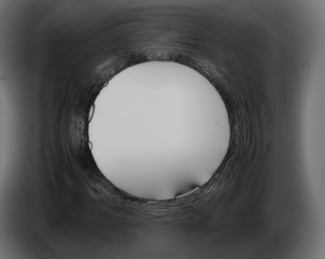 X0000083000964200703020901