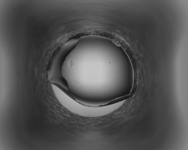 X0000083000965200703020901