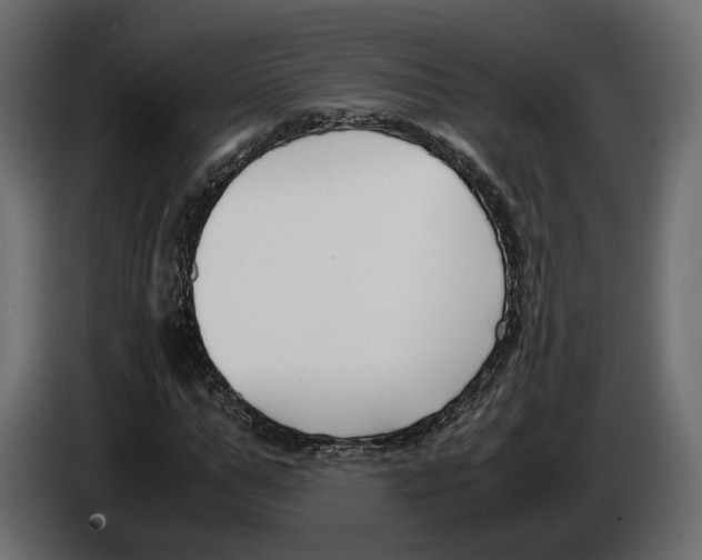 X0000083000967200703020901