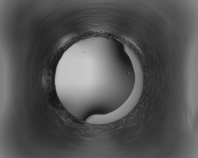 X0000083000968200703020901