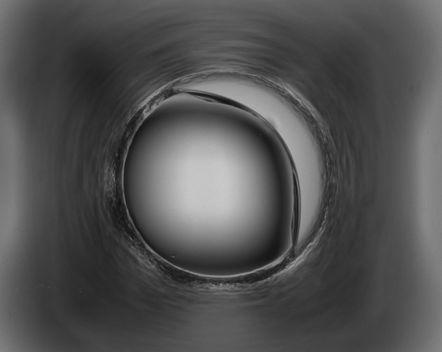 X0000083000969200703020901