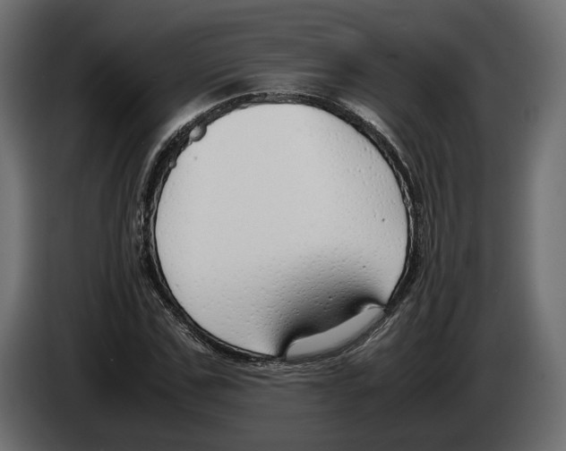 X0000083000971200703020901